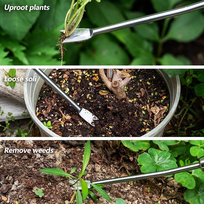 Berry&Bird Dandelion Weeding Tool, Crack Weeder Hand Weeder Puller Tool | V-Shaped Weed Fork for Planting & Weeding, Weed Puller Tool with Wood Handle, Stainless Steel Garden Tool for Patio Lawn Yard