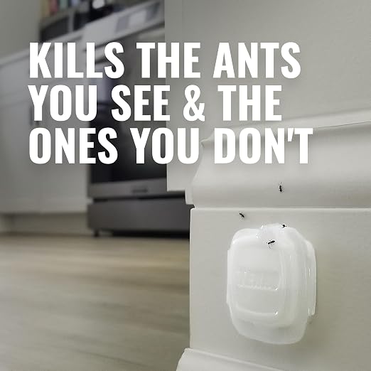 TERRO Multi-Surface Liquid Ant Baits, 4-Pack, Indoor Bait Stations for Home | Ant Trap for Discreet Baiting, Complete Colony Elimination, Discreet Ant Trap, Kills Common Household Ants, Ready-To-Use Bait
