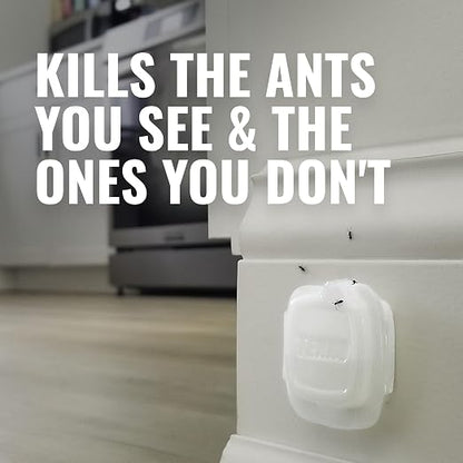 TERRO Multi-Surface Liquid Ant Baits, 4-Pack, Indoor Bait Stations for Home | Ant Trap for Discreet Baiting, Complete Colony Elimination, Discreet Ant Trap, Kills Common Household Ants, Ready-To-Use Bait