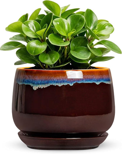 Ceramic Plant Pots - 6 Inch Planter with Drainage Hole and Saucer, Small Succulent Pot for Indoor Plants, Round Decorative Flower Pots, Garden Shelf Decor, Plant Gifts for Women, Brown-Blue