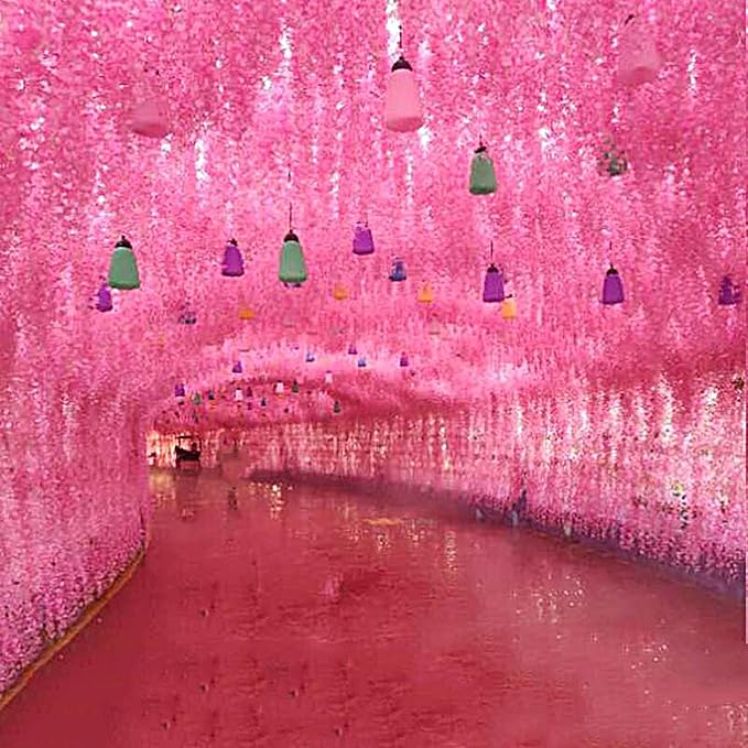Artificial Wisteria Hanging Flowers-Fake Wisteria Flower Garland Silk Vines Rattan Decor for Home Wedding Arch Wall Garden Greenery Bedroom Outdoor Office Party Decoration(36, Dark Pink)