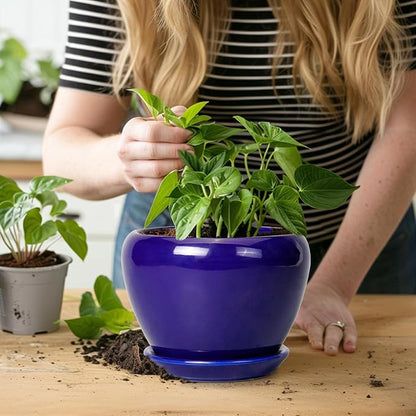 Ceramicfor 6 Inch Plant Pot - Ceramic Pots for Plants Succulent Pot with Drainage Hole and Saucer Round Planter Outdoor Flower Pot for Herb Snake Plants Blue