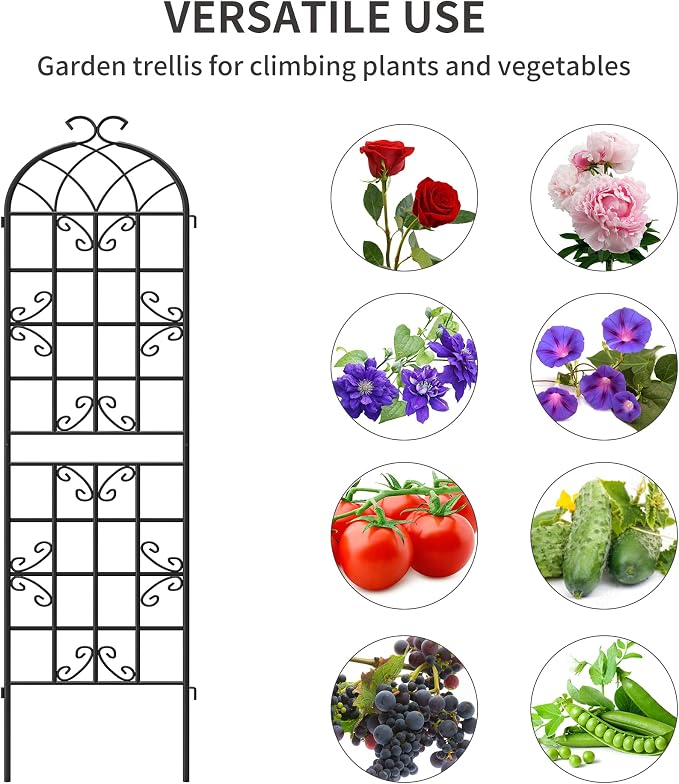 2-Pack 87" x 20" Black Metal Garden Trellises with Butterfly Design | Rust-resistant metal trellises with butterfly arches, scrollwork, spikes, and support for roses, vines, or vegetables