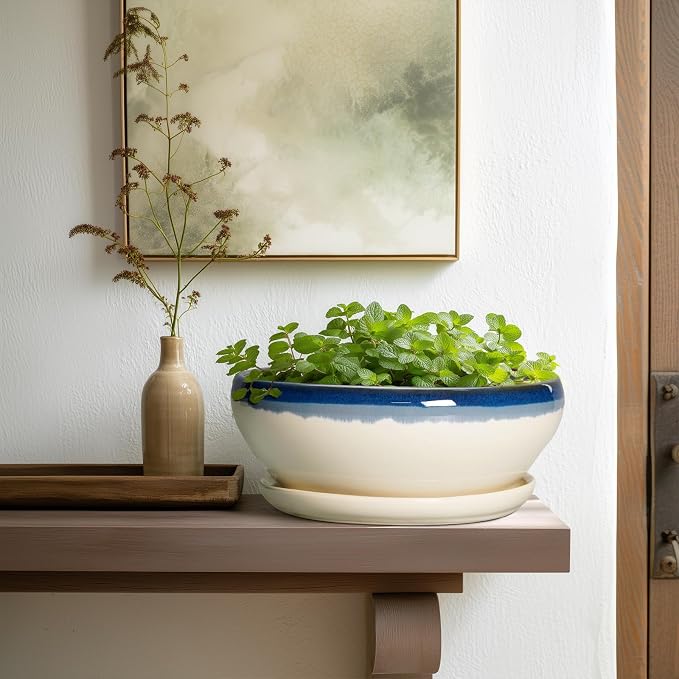 SQOWL Bonsai Pots, 10 Inch Ceramic Pots for Succulents, Blue-Beige | Shallow Planter with Drainage Hole and Saucer, Round Succulent Planters Bowl, Kitchen Decor, Housewarming Gifts