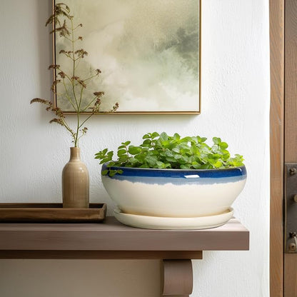 SQOWL Bonsai Pots, 10 Inch Ceramic Pots for Succulents, Blue-Beige | Shallow Planter with Drainage Hole and Saucer, Round Succulent Planters Bowl, Kitchen Decor, Housewarming Gifts