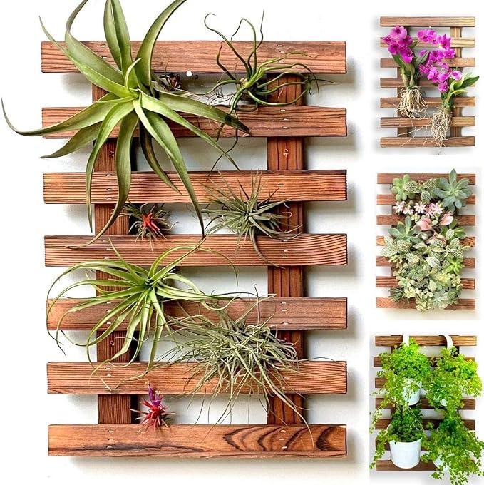 ShopLaLa Wooden Wall Planter for Succulents (40cm) Air Plant Wall Hanger | Indoor Outdoor, Live Orchid Wall Wood Display Frame Vertical Garden Balcony Deck Bathroom Macetas para Plantas De Aire