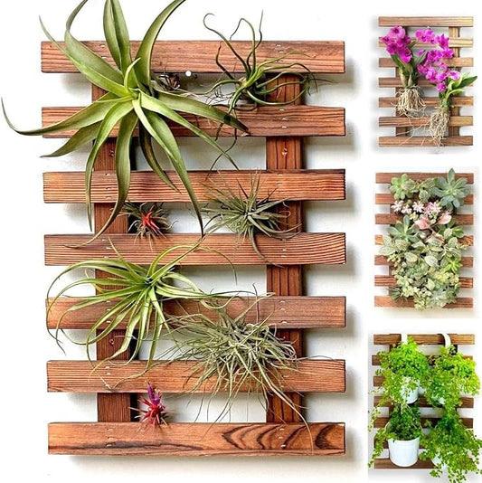 ShopLaLa Wooden Wall Planter for Succulents (40cm) Air Plant Wall Hanger | Indoor Outdoor, Live Orchid Wall Wood Display Frame Vertical Garden Balcony Deck Bathroom Macetas para Plantas De Aire