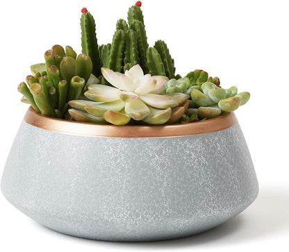 LA JOLIE MUSE Large Succulent Planter Pots - Ceramic Indoor Outdoor Garden Pot with Drainage for Plant Flower, 8 Inch, Gray