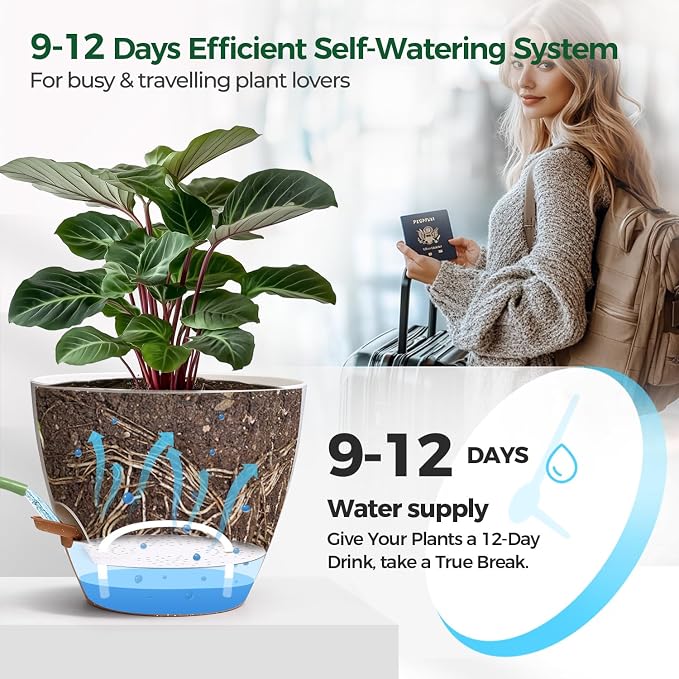 2 Pack 10 Inch Self Watering Pots - Water Level Indicator & Deep Reservoir, Mess-Free Planter for Busy People, Beginners & Gardeners, Fiddle Leaf Fig, Monstera, ZZ Plants, Indoor Outdoor Use (White)