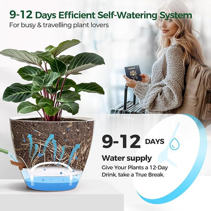 2 Pack 10 Inch Self Watering Pots - Water Level Indicator & Deep Reservoir, Mess-Free Planter for Busy People, Beginners & Gardeners, Fiddle Leaf Fig, Monstera, ZZ Plants, Indoor Outdoor Use (White)