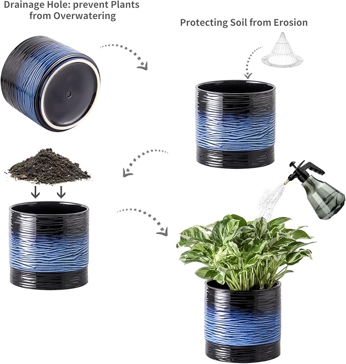 Nihow Ceramic Plant Pot,6 Inch Planter with Drainage Hole&Saucer for Indoor | Black & Vivid Blue,Indoor & Outdoor, Cylinder Round Flower Pot, For Succulent/Herbs/Violets