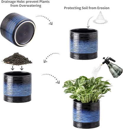 Nihow Ceramic Plant Pot,6 Inch Planter with Drainage Hole&Saucer for Indoor | Black & Vivid Blue,Indoor & Outdoor, Cylinder Round Flower Pot, For Succulent/Herbs/Violets