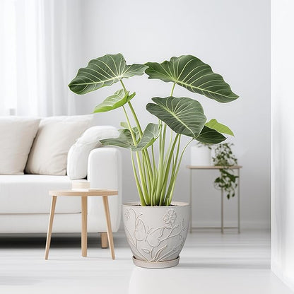 MPotTo 10 Inch Plant Pot Ceramic Planter Pot with Drainage Hole and Saucer Round Planter Large Flower Pot for Indoor Outdoor Plants Home Garden Decor White