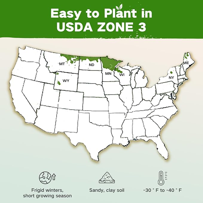 USDA Zone 3 Seed Bank, Gardening Gifts for Women Men, 32 Type Non-GMO Seeds | 30,000+ Heirloom Seeds for Planting Vegetables Herbs Fruits, Year Round Survival Seed Vault Kit, Raised Garden Bed Greenhouse