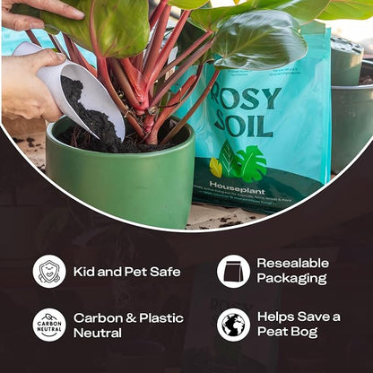 Rosy Soil Houseplant Potting Soil, 8 Quarts, Pack of 2 | Organic Indoor Potting Mix with Biochar and Worm Castings, For Monstera, Pothos, Tropical Indoor Plants, Peat Free