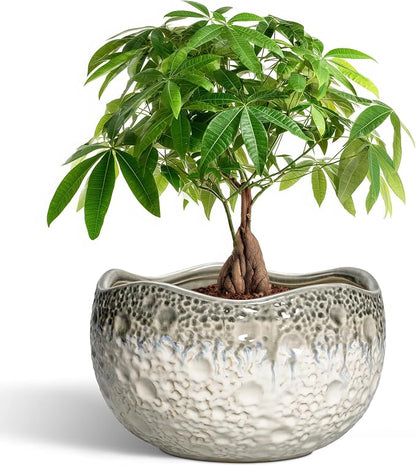 10 Inch Plant Pot - Ceramic Pots for Plants with Drainage Hole and Plug, Unique Flower Pots for Indoor Plants Outdoor, Modern Decorative Flower Pot, Office Decor, Garden Gifts, Beige-Grey