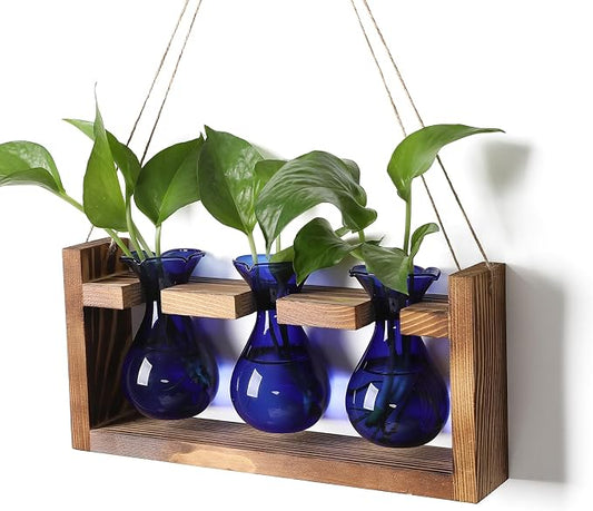 Plant Propagation Station Plant Terrarium Unique Birthday Gifts for Women | Plant Lovers Home Office Decor Planter with Wooden Stand - 3 Bulb Glass Vase
