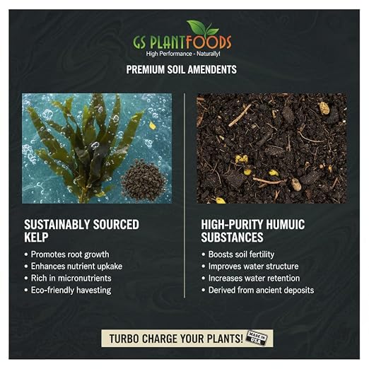 GS Plant Foods Root Ruckus – Dry Soil Zone Conditioner – Humic-Rich Granules with Kelp Components to Support Soil Structure & Nutrient Availability (11 oz)