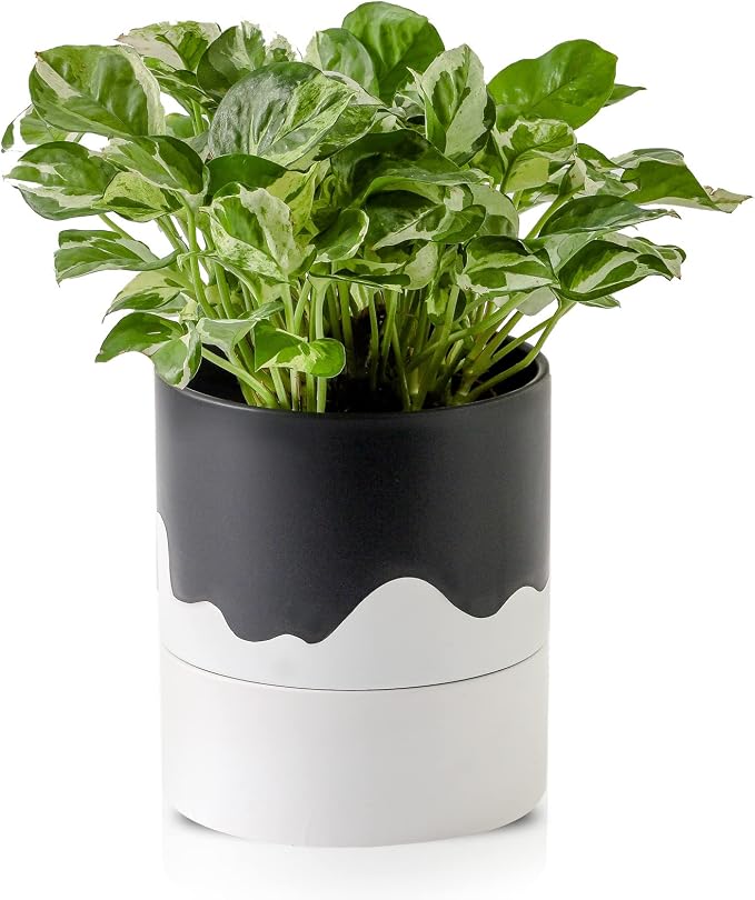 Nihow Ceramic Self Watering Plant Pot for Indoor Plants,6 Inch,Black White | Planter with Cotton Wick, Drainage Hole & Water Storage Plus, Cylinder Round Flower Pot, For Succulent/Herbs/Violets