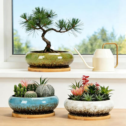Drzewo Succulent Pots, Succulent Pots with Drainage & Bamboo Tray, 7-Inch Ceramic Drip Glazed Shallow Planter Container Bowl for Indoor Outdoor Plants, Decorative Garden Cactus Flower