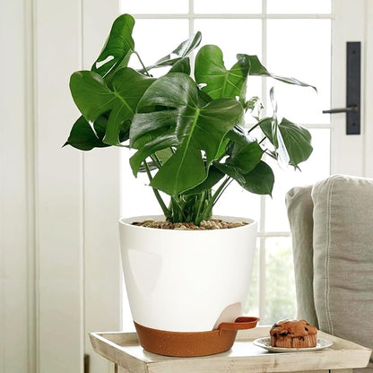 5-Pack Plant Pots with Drainage 7/6.5/6/5.5/5 Inch Self Watering Pots for Indoor Outdoor Plants, Plastic Flower Pots with Drainage Holes and Removable Saucers, Plant Pots with Wicking Rope (White)