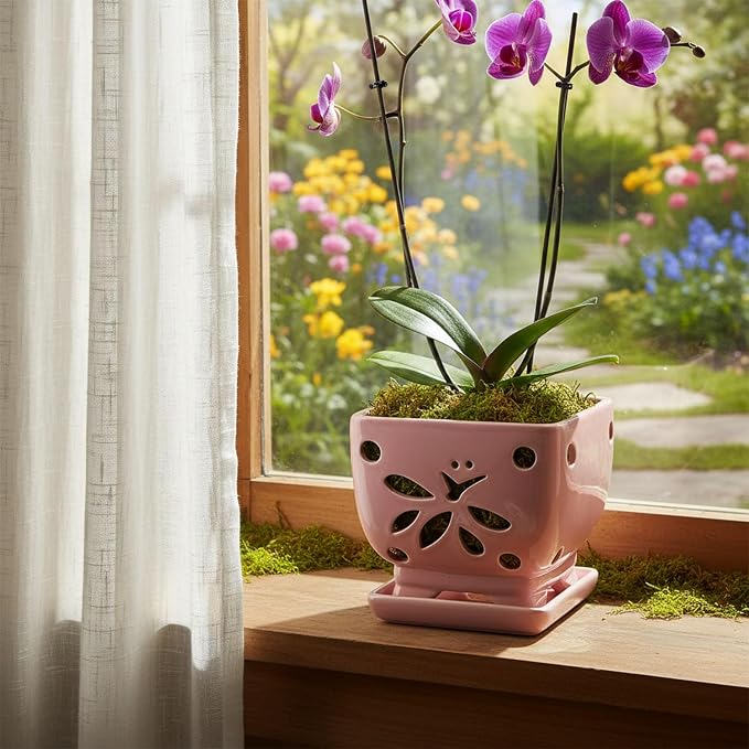 Orchid Pots with Holes Square Ceramic Orchid Planter Pots 5.5 inch (Pink)