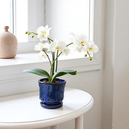Orchid Pots 4.9 inch Ceramic Orchid Pots with Holes and Draiange Hole Orchid Planter Set of 2 (Dark Blue)
