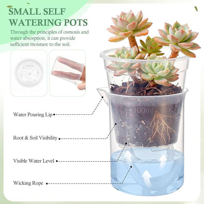 30 Pcak 2.2'' Small Self Watering Planters for Indoor Plants Mini Clear Pots with Water Level Indicator Plastic Automatic-Watering Pot with Drainage Holes for Semi-hydroponic African Violet