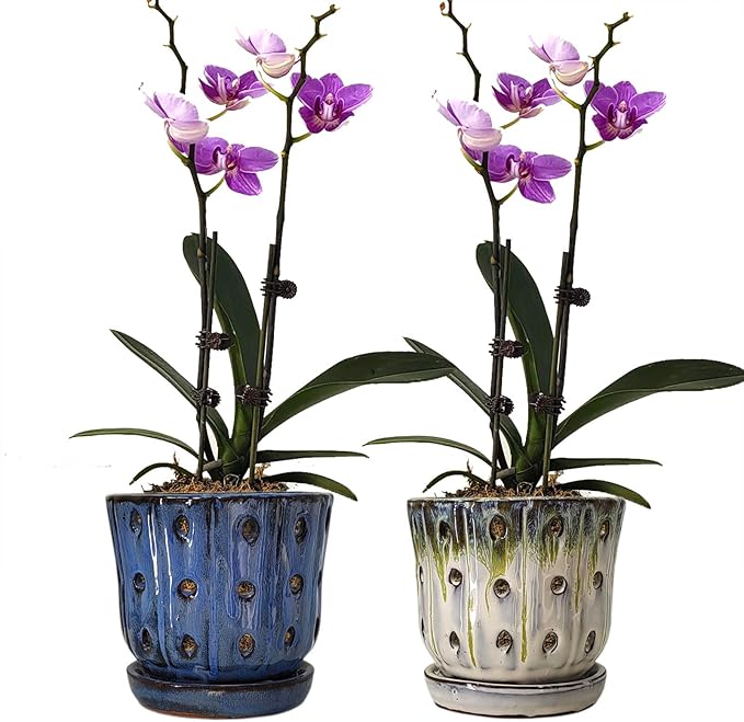 Orchid Pots 4.9 inch Round Ceramic Orchid Pots with Holes Set of 2 (SkyBlue+White with Lemon Green)