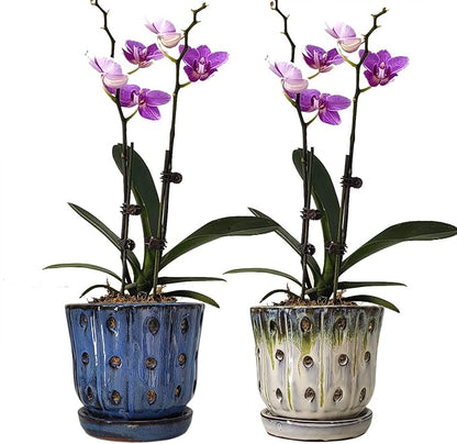 Orchid Pots 4.9 inch Round Ceramic Orchid Pots with Holes Set of 2 (SkyBlue+White with Lemon Green)