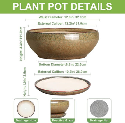 SQOWL Ceramic Bonsai Pots - 12 Inch Succulent Pots with Drainage Hole and Saucer, Large Succulent Planters, Shallow Planter Indoor Outdoor, Round Planter Bowl, Home Decor, Gift for Plant Lover, Brown
