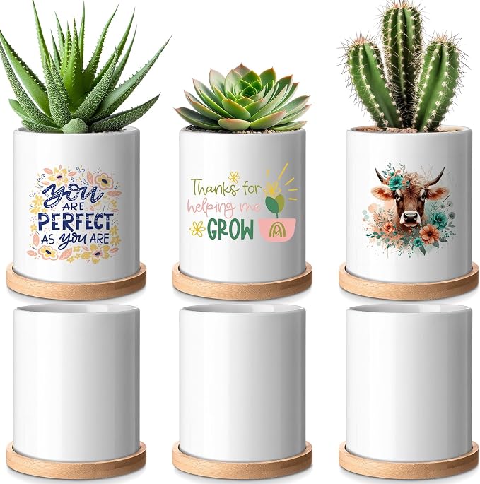 Teenyyou 6 Pcs Sublimation Flower Pot Blanks Mini 3.2 in Garden Ceramic Succulent Planter Pot with Bamboo Tray with Drainage Hole Thank You Gifts for Employee Appreciation Plant Lover