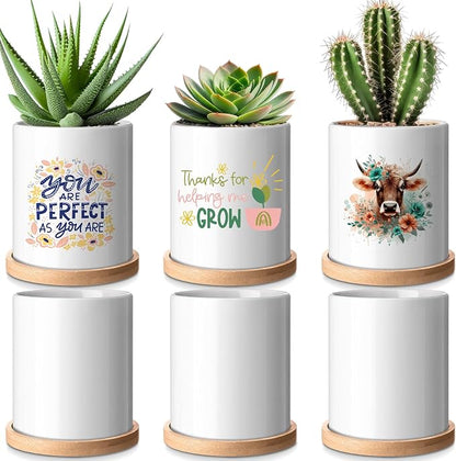 Teenyyou 6 Pcs Sublimation Flower Pot Blanks Mini 3.2 in Garden Ceramic Succulent Planter Pot with Bamboo Tray with Drainage Hole Thank You Gifts for Employee Appreciation Plant Lover
