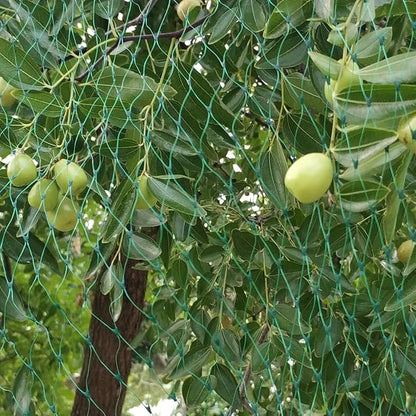 Bird Netting for Garden 6.5X100 FT, 1/4 Inch Mesh, Protect Blueberry, Strawberry, Tomatos, Vegetables. Fruit Tree Netting for Cicadas Against Deers, Squirrels, Bunnies, and Small Critters.