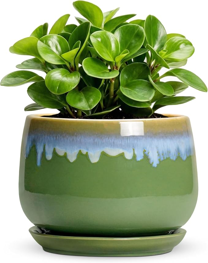 Ceramic Planter 6 Inch - Ceramic Pots for Plants with Drainage and Saucer, Decorative Small Succulent Pots for Indoor Plants, Round Plant Pot, House Decor, House Warming Gifts, Green-Blue