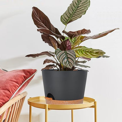 SwinDuck 12inch Large Self Watering Plant Pot, Plastic Cylinder Planter with 60Oz Deep Reservoir and Saucer for Indoor Outdoor Plants Flowers Houseplants, Black with Brown