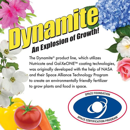 Dynamite Mater Magic - Organic Tomato Fertilizer for Bigger, Juicier Tomatoes and Vegetables, OMRI Listed, Nitrogen and Calcium-Rich Plant Food - .675 Pound Container with Shaker Lid (Pack of 2)