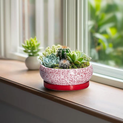 Bonsai Pots Small - 6 Inch Ceramic Succulent Pots with Drainage Hole and Ceramic Saucer, Succulent Planters Indoor Outdoor, Shallow Round Planter, Apartment Decor, Housewarming Gifts, Red
