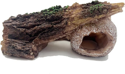 Fish Tank Decorations, Large Aquarium Decor Accessories with Skull and Driftwood, Bearded Dragon Hideout, Reptile & Amphibian Habitat Hideouts