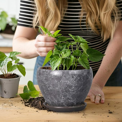 Ceramicfor Ceramic Planter - 6 Inch Plant Pot with Drainage Hole and Saucer, Succulent Pot Glaze Round Flower Pot for Indoor Outdoor Plants, Gray