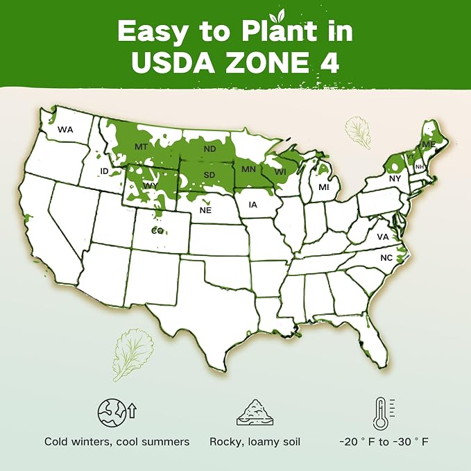 USDA Zone 4 Seed Bank, 32 Varieties Non-GMO Heirloom Vegetable Herb Seeds | Gardening Gifts for Women Men, Emergency Survival Seed Vault Kit for Planting in Raised Garden Bed Greenhouse, Gardener Gifts