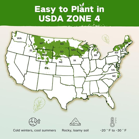 USDA Zone 4 Seed Bank, 32 Varieties Non-GMO Heirloom Vegetable Herb Seeds | Gardening Gifts for Women Men, Emergency Survival Seed Vault Kit for Planting in Raised Garden Bed Greenhouse, Gardener Gifts