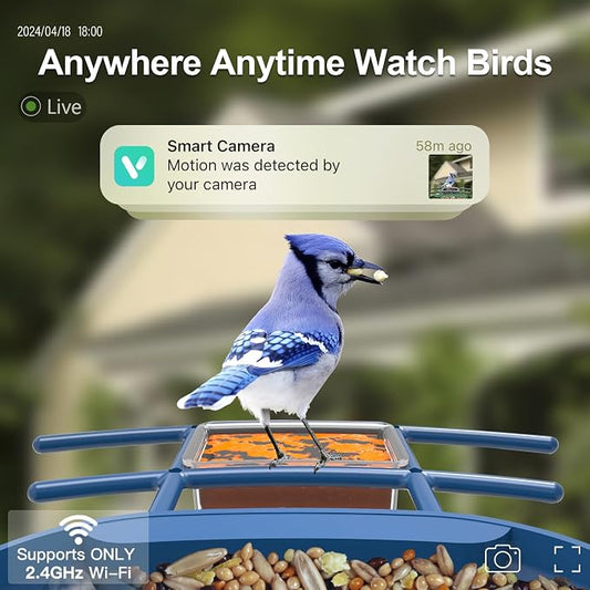 Bird Feeder with Camera Solar Powered : Smart Camera Bird Feeder 2K Live Feed Cam for Outdoor Backyard - Ai Identify Auto Capture Videos Pictures, Gifts for Birdlover Mom Dad, 2.6GHz WiFi