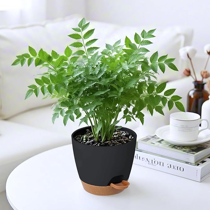 Self Watering Plant Pots with Drainage & Saucers, 6-Pack 7 in - Plastic Flower Pots for Indoor Plants, Succulents & Herbs, Planters for Indoor Outdoor & Balcony (Black)