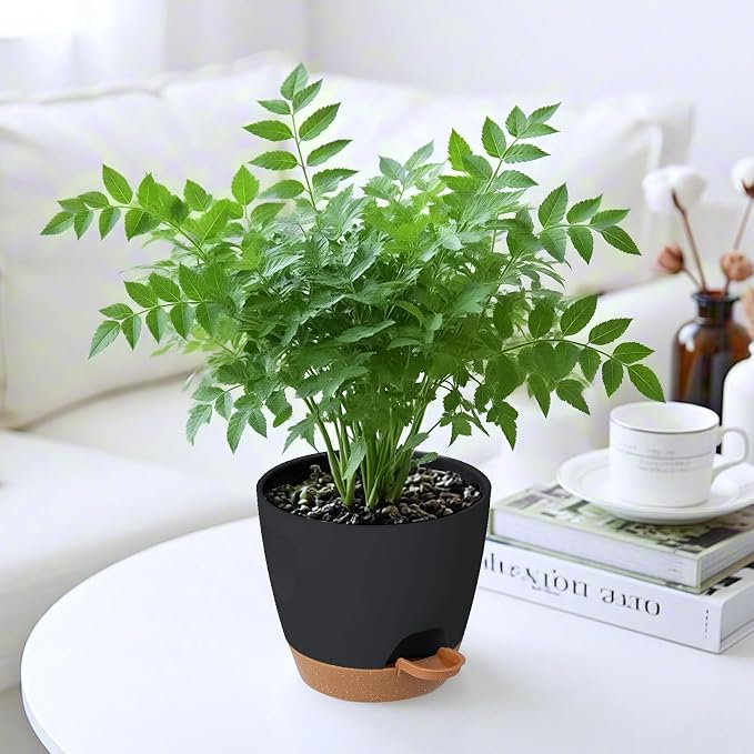 Self Watering Plant Pots with Drainage & Saucers, 4-Pack 6.5/6/5.5/5 in - Plastic Flower Pots for Indoor Plants, Succulents & Herbs, Planters for Indoor Outdoor & Balcony (Black)