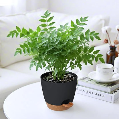 Self Watering Plant Pots with Drainage & Saucers, 6-Pack 5 in - Plastic Flower Pots for Indoor Plants, Succulents & Herbs, Planters for Indoor Outdoor & Balcony (Black)