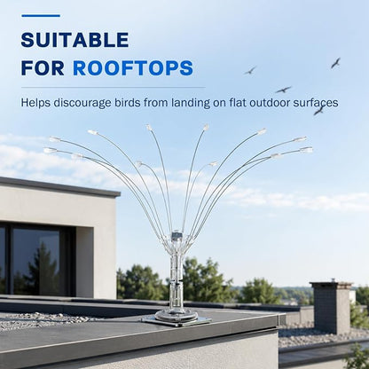 Buzzlett Stainless Steel Bird Deterrent with PVC Base for Outdoors, Boats, Docks and HVAC - Efficient Bird Repellent for Birds, Deters Seagulls and Other Birds from Landing- 2ft
