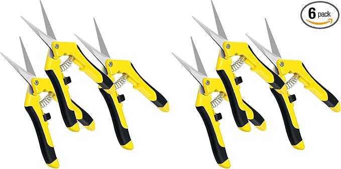 iPower 6.5 Inch Gardening Scissors Hand Pruner Pruning Shear for Gardening and Trimming, Heavy-Duty, Ultra Sharp Stainless Steel, Yellow, 6-Pack