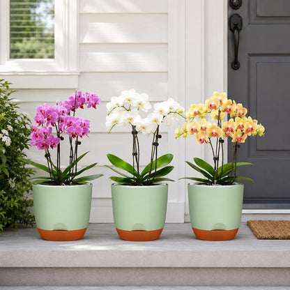 QCQHDU 2 Pack 5.7 Inch Orchid Pots with Holes for Repotting, Double-Layer and Self Watering Orchid Pot with Good Air Circulation