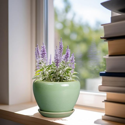 Ceramicfor 6 Inch Plant Pot - Ceramic Planter for Indoor Plants Round Planter Outdoor Plant Pot with Drainage Hole and Saucer Modern Flower Pot for Succulent Garden Green